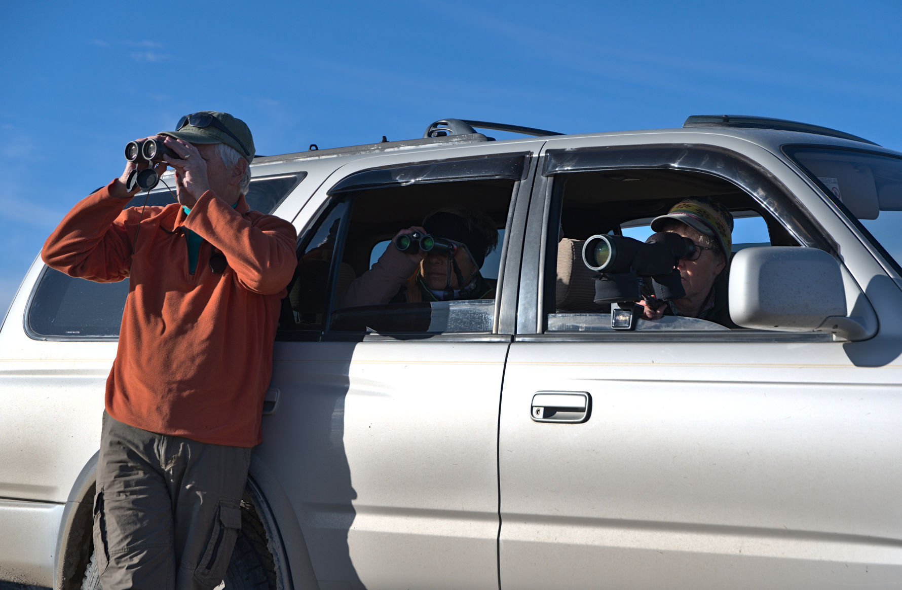 Sagebrush losses